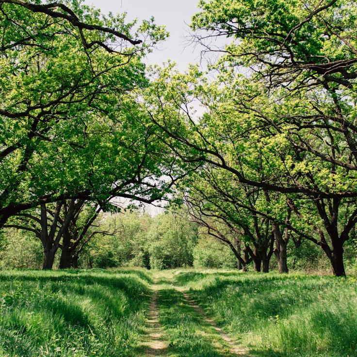 Low-impact nature route
